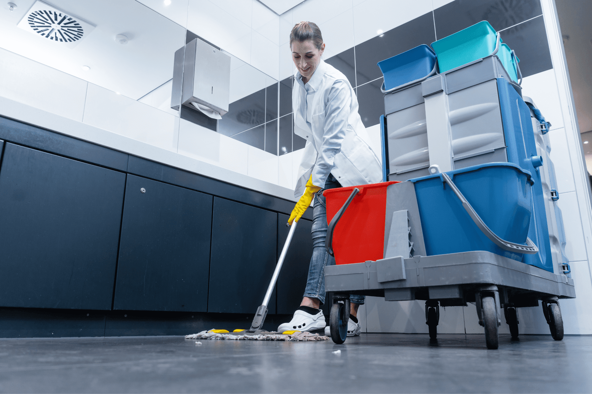 Restroom Sanitization Services in Clinton Township